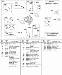 Carburetor Aisan Manual Choke Diagram and Parts List for 430447-0105-01  Briggs and Stratton Engine